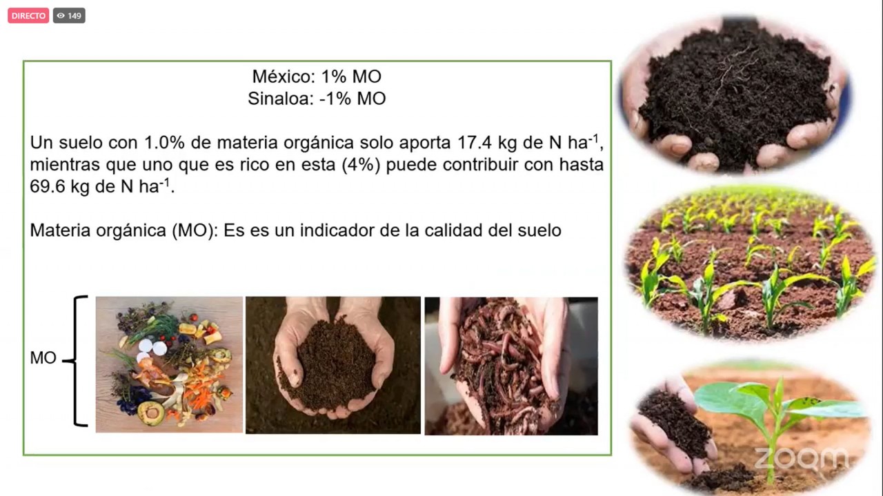 First slide