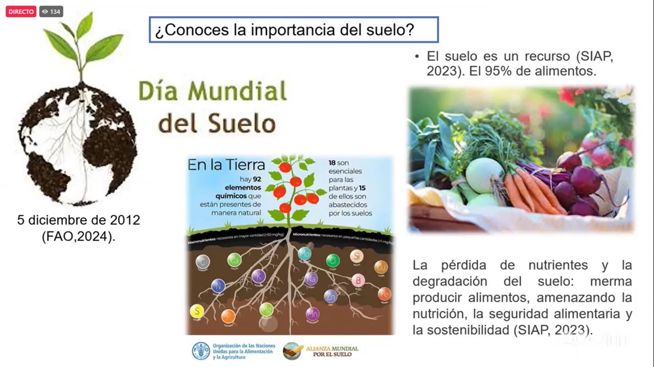 First slide