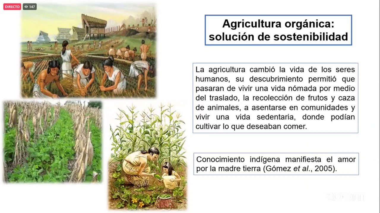 First slide