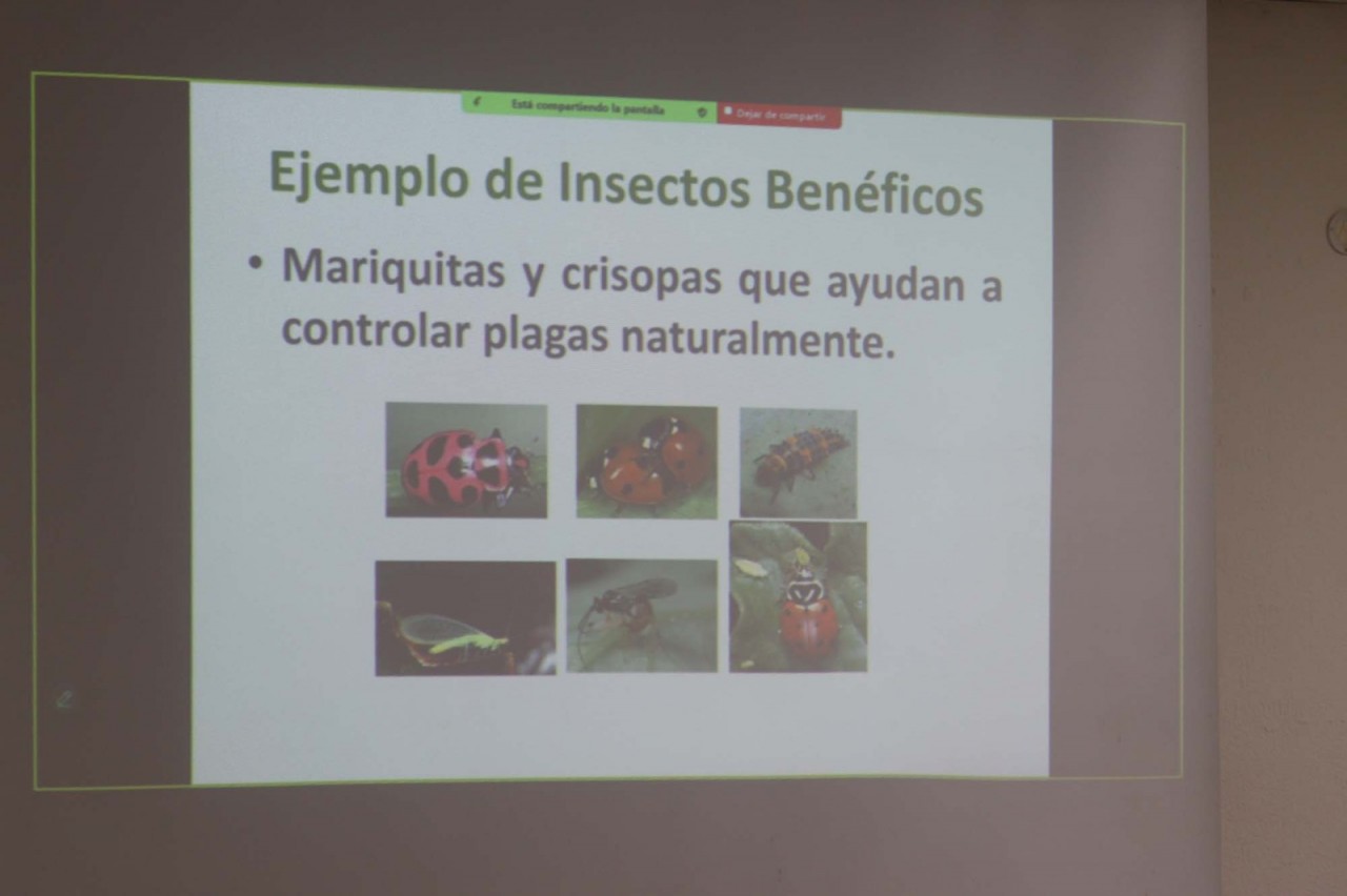 First slide