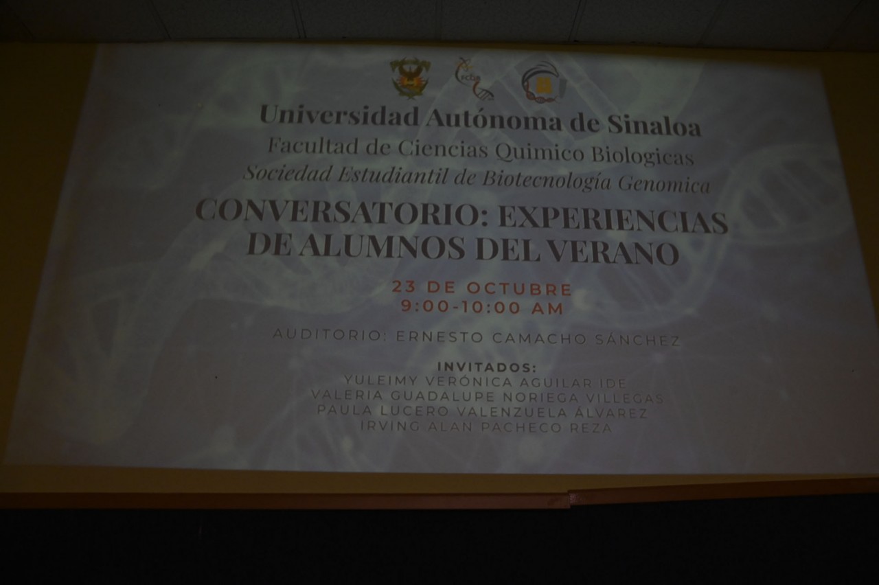 First slide