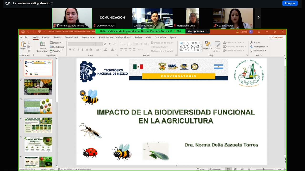 First slide