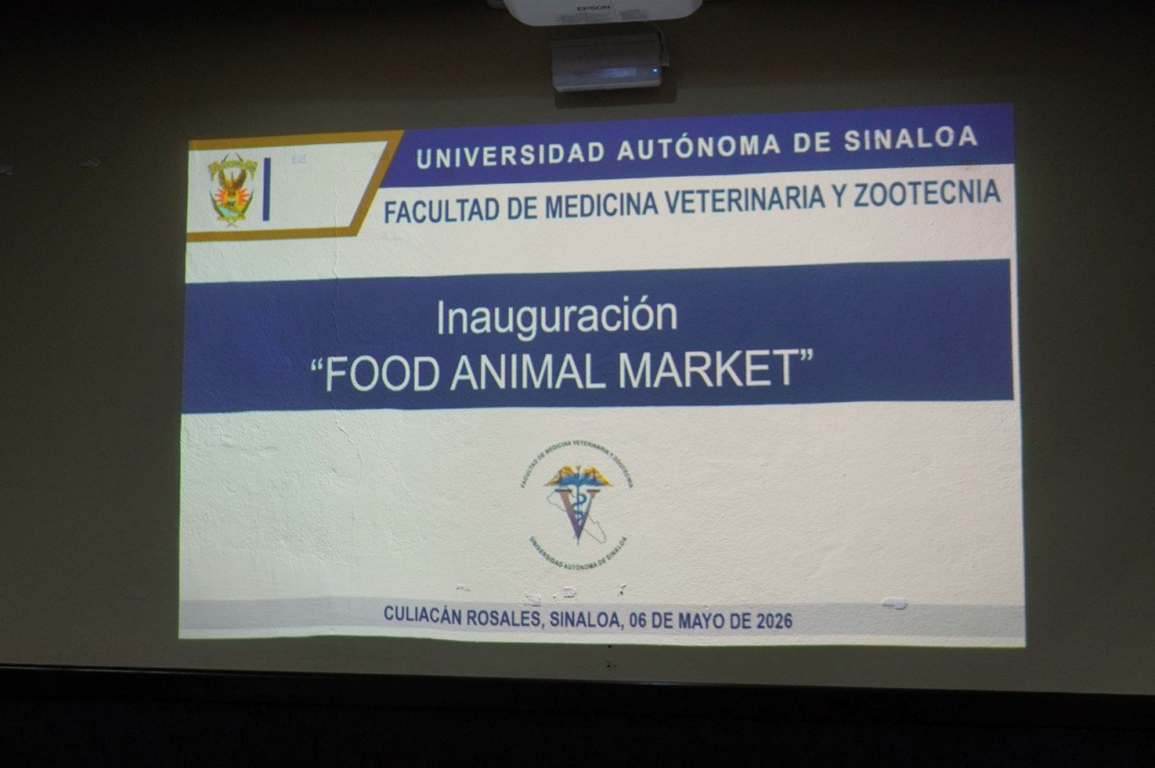 First slide