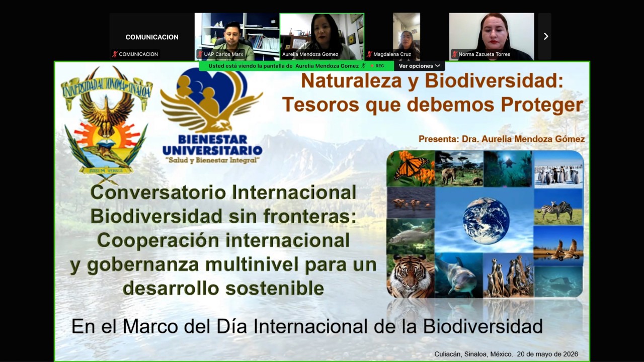 First slide