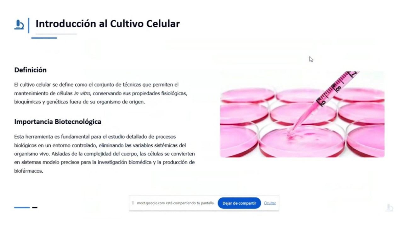 First slide