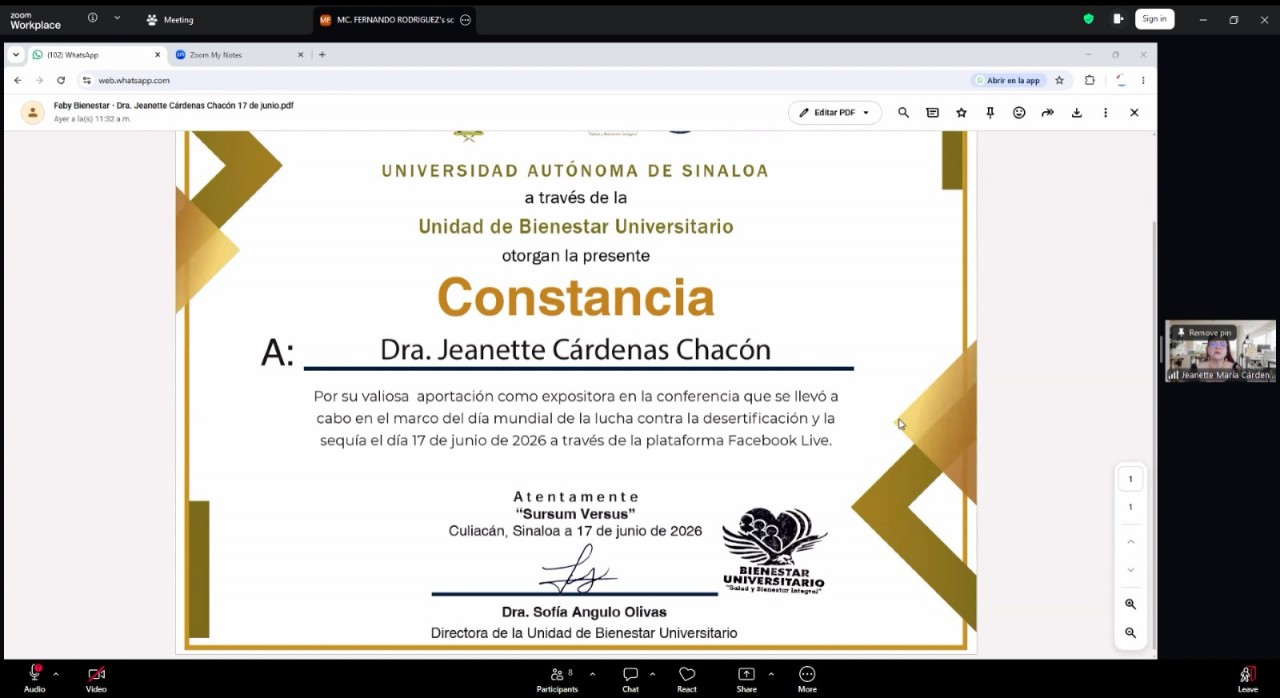First slide