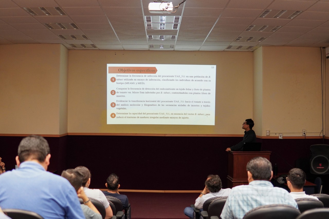 First slide