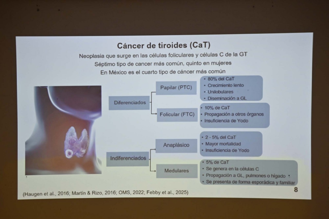First slide