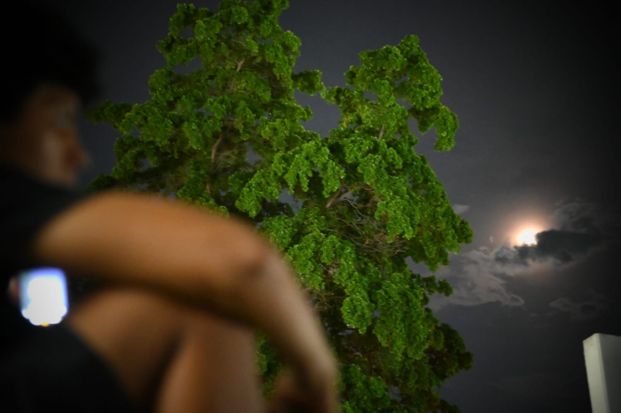 First slide
