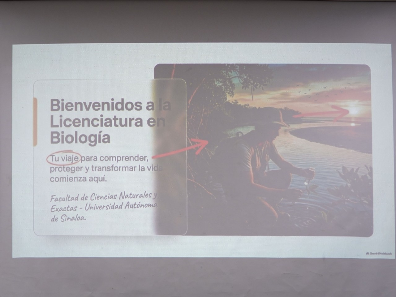 First slide