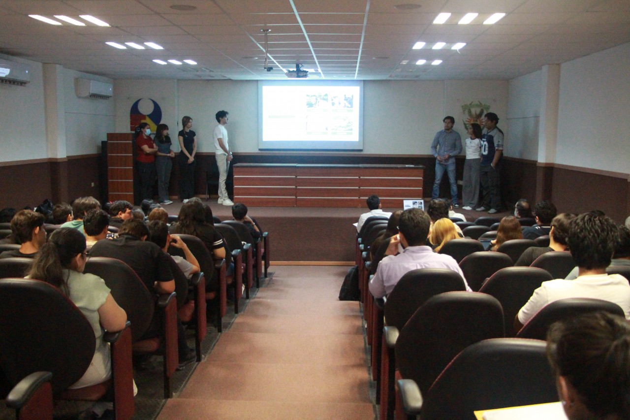 First slide