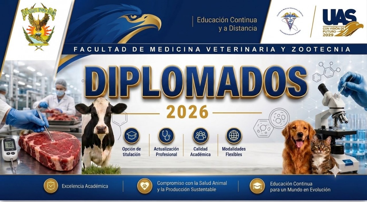 First slide