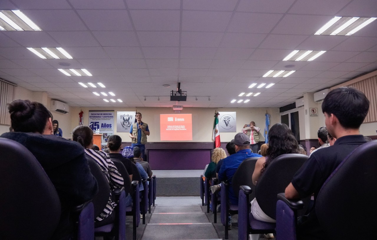 First slide