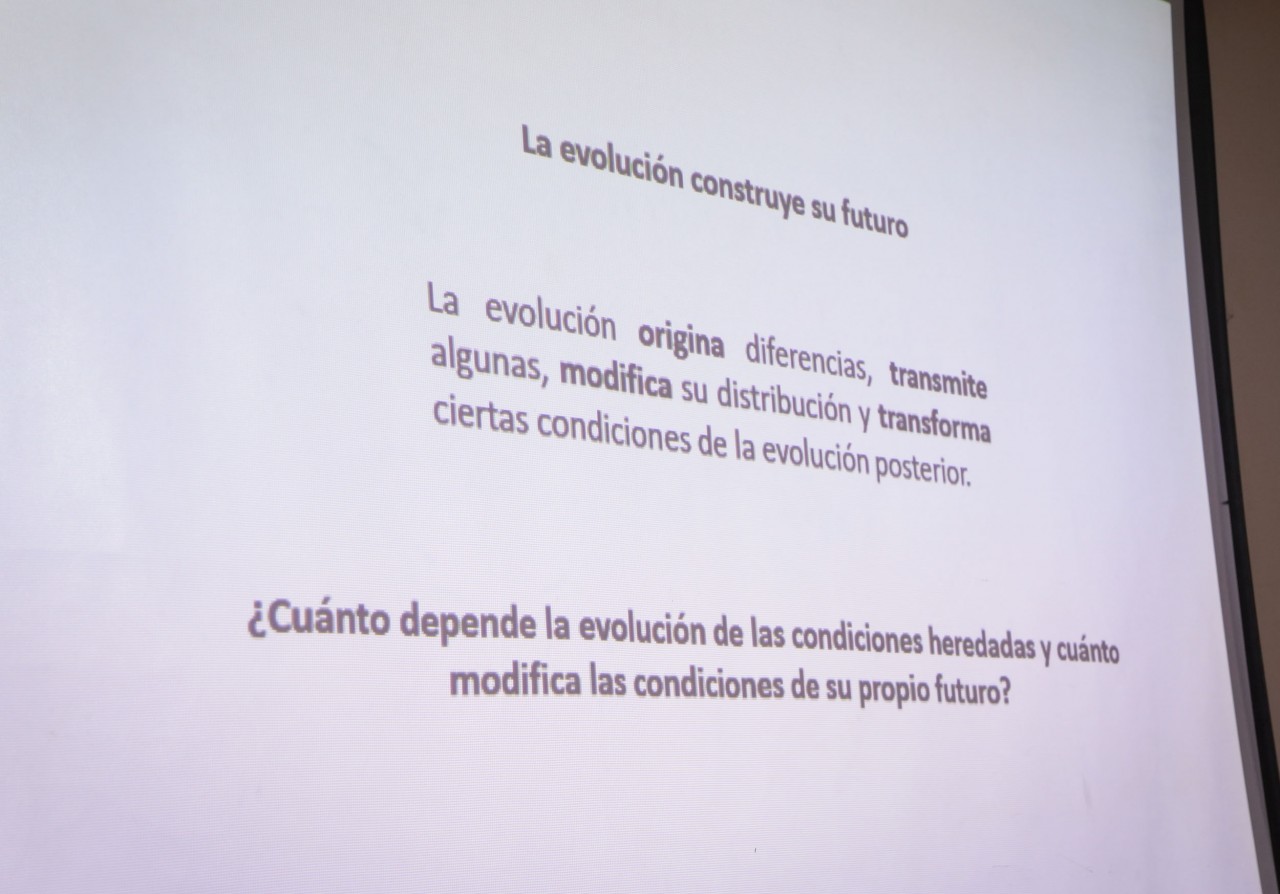 First slide