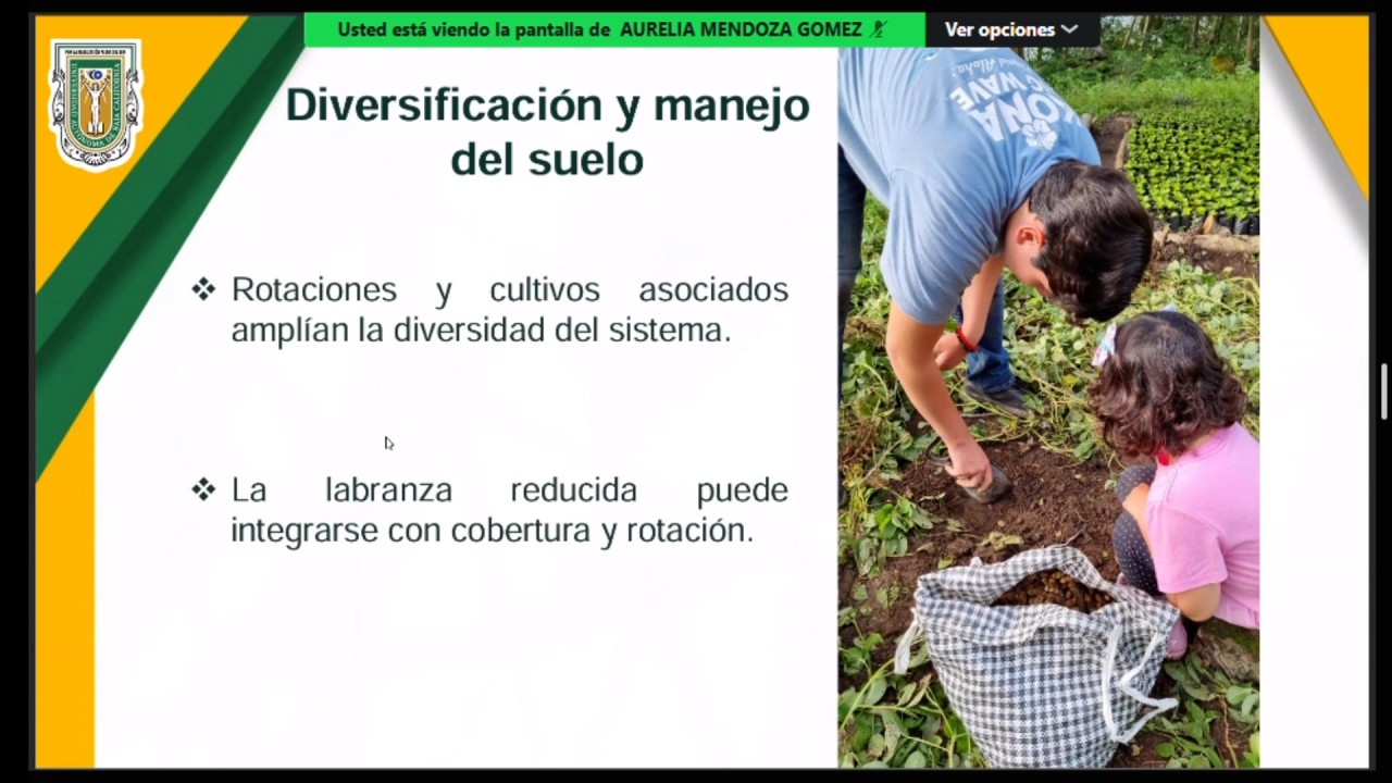 First slide